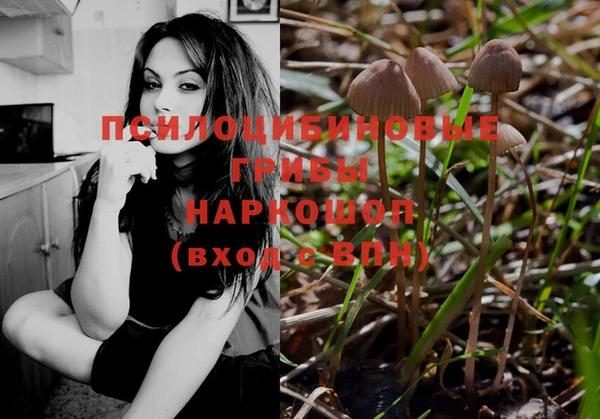 гашиш Бородино