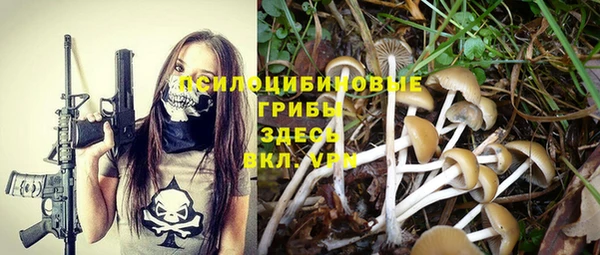 кокс Киселёвск