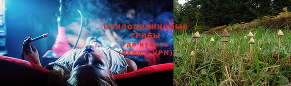 спиды Бугульма
