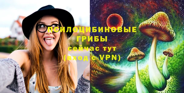 мескалин Богданович